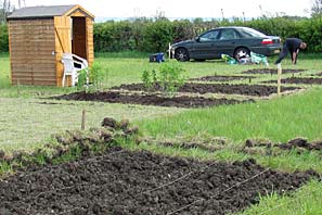 Allotment site on 16th May