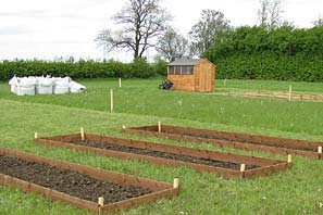 Allotment site on 16th May