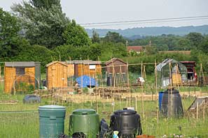 Allotment site on 30th June 2010