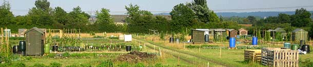 Allotment View