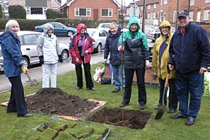 Tree Planting for Val Bellamy