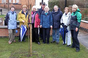 Tree Planting for Val Bellamy