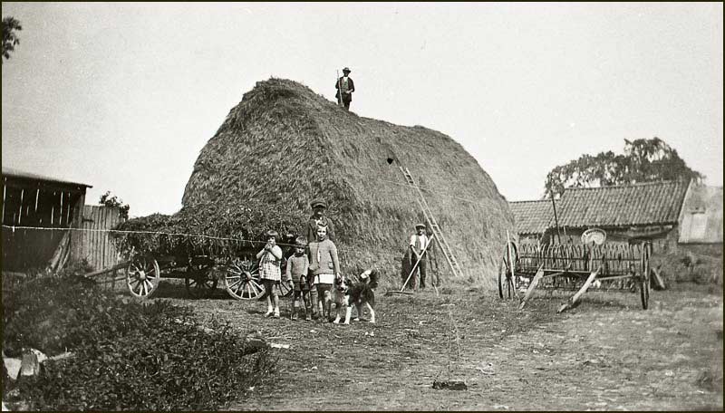 Knights finishing building haystack in Squires Farm stackyard