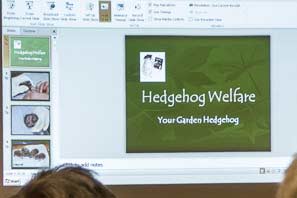 Hedgehog Haven