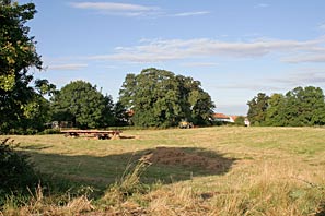 Barlow farm land