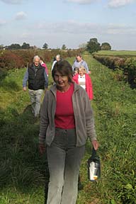 Sue leads the way