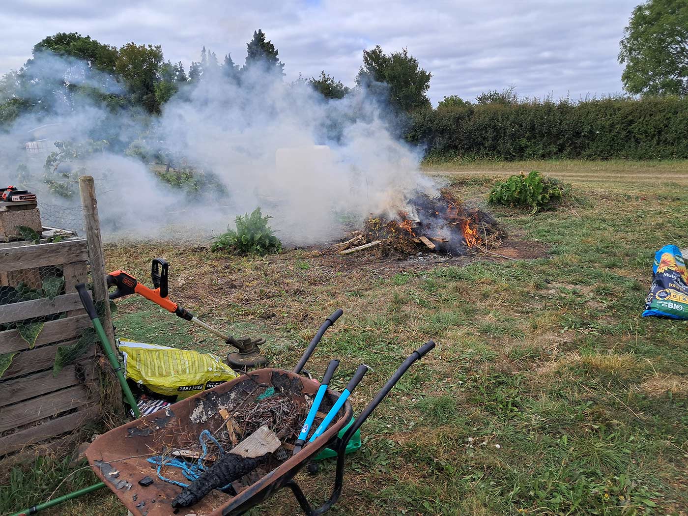 August action