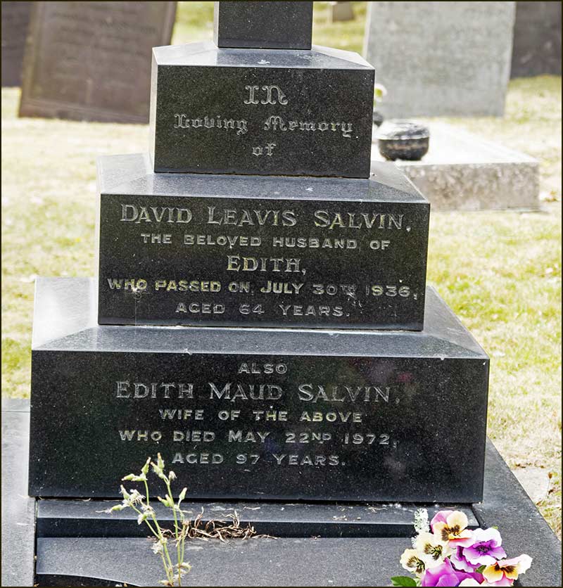 Salvin Graves