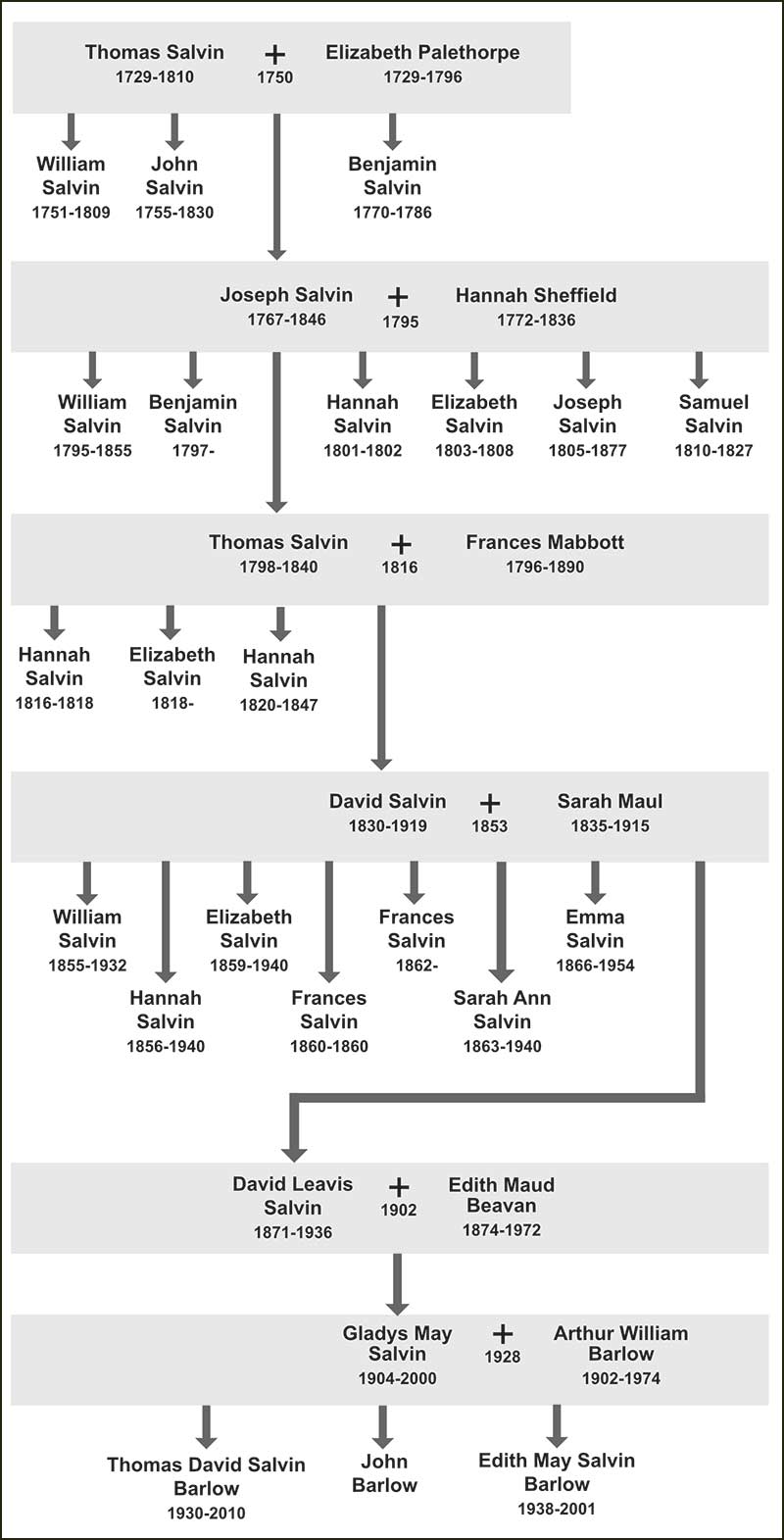  Salvin Family Tree
