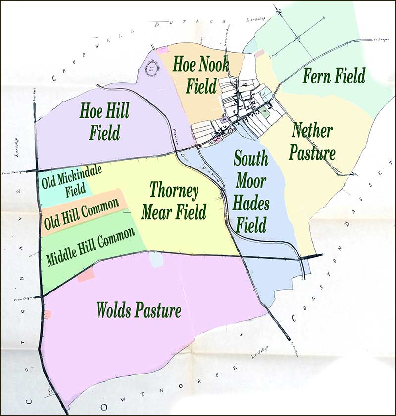 Map of fields around Cropwell Bishop in 1800