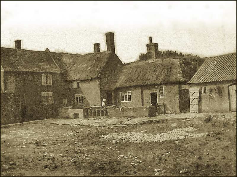 Shelton Farm in 1890s