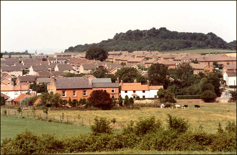 1983. Back of Old Hall Farm<