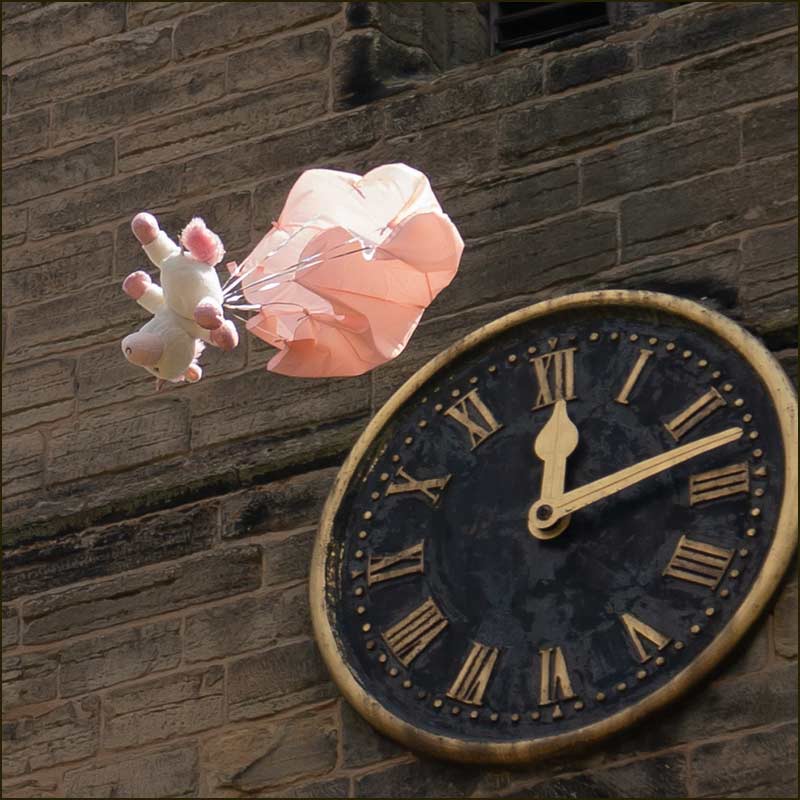 Teddybear Parachutes (2018)