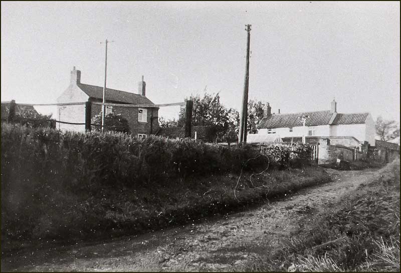 Field Lane in 1930s