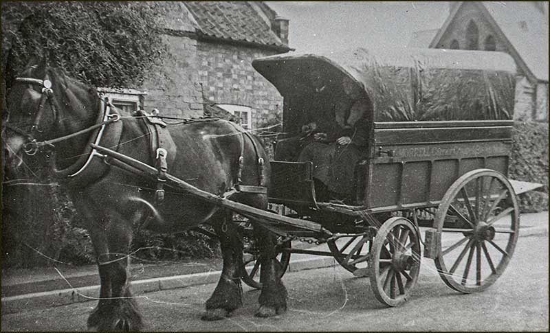 Horse and cart 1920