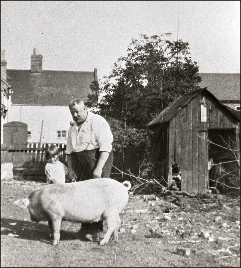 Percy Brown and Margaret with pig