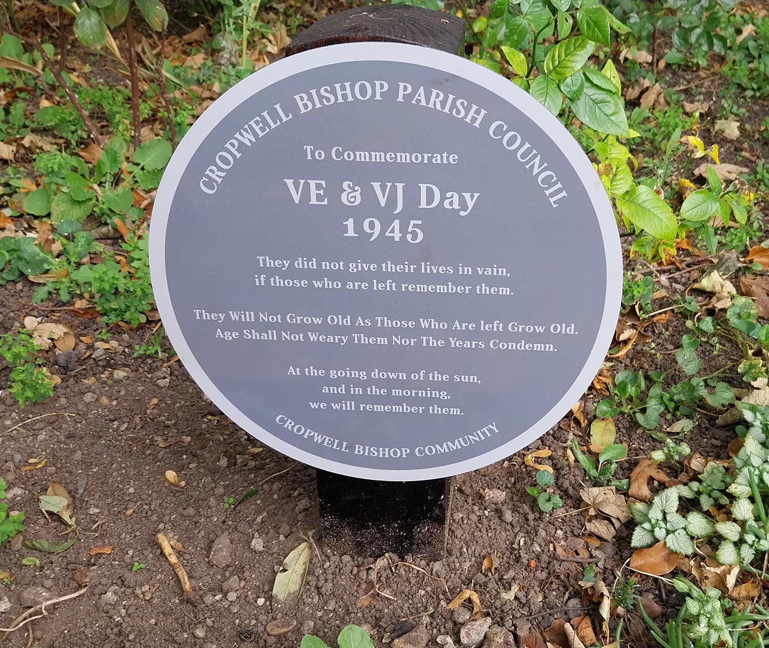 Plaque