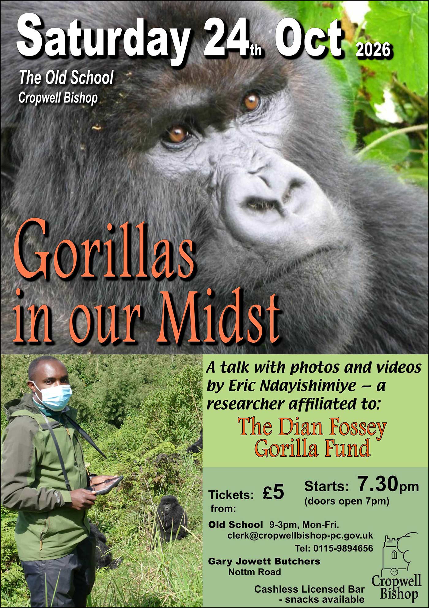 Gorillas