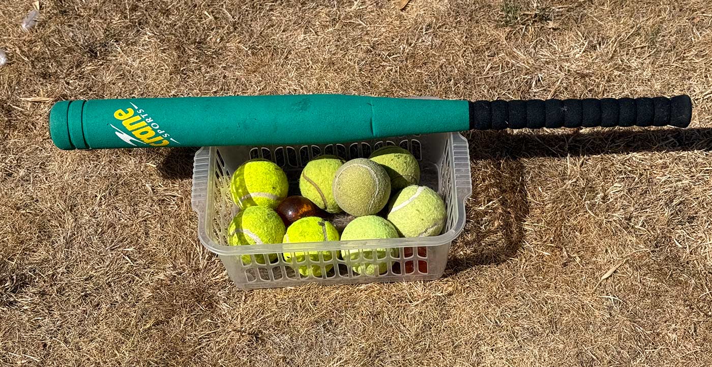 Bat and balls